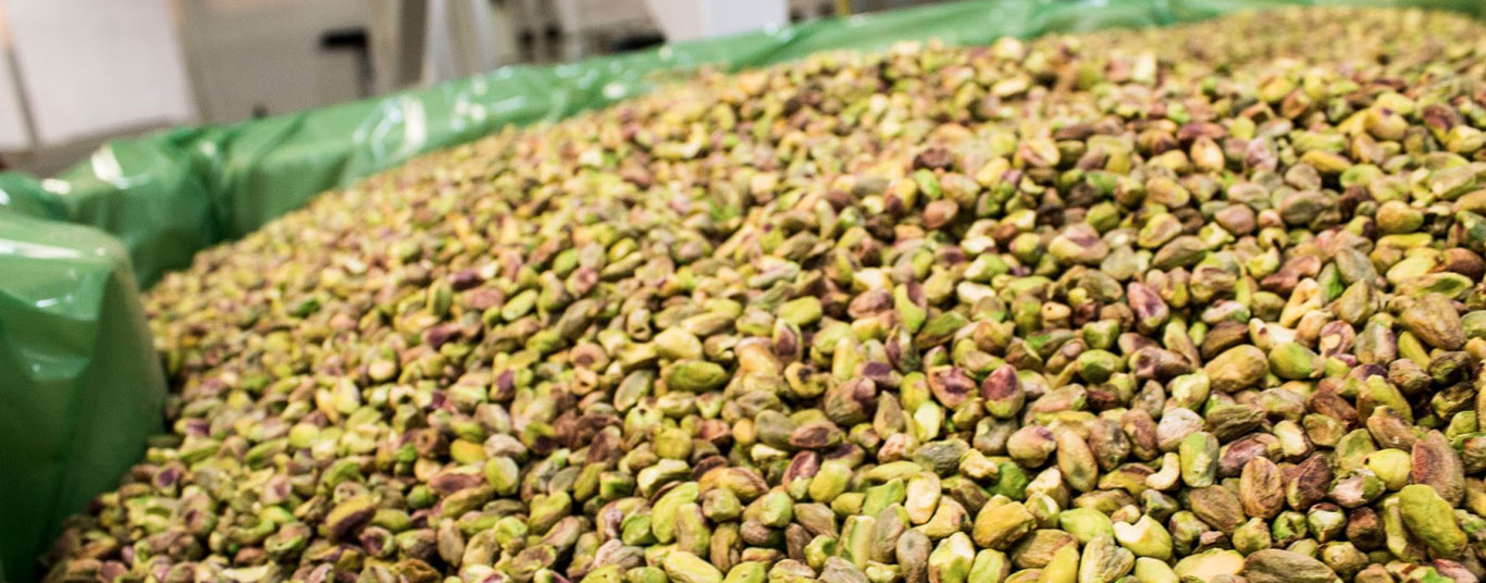 Growing pistachios for more than 100 years...