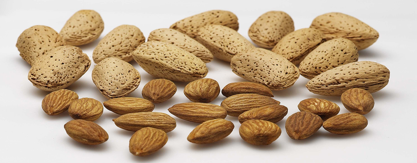 Premium Iranian Almond Supplier & Exporter